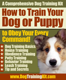 How to Train Your Dog or Puppy